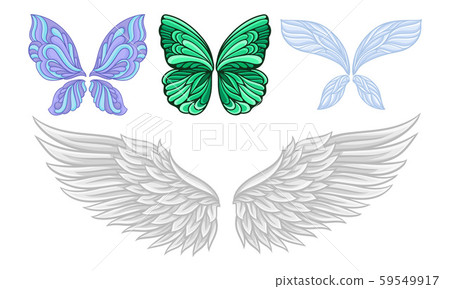 Set of wings of different butterflies and a swan. Vector illustration. Set of wings of different butterflies and a swan. Vector illustration. 59549917