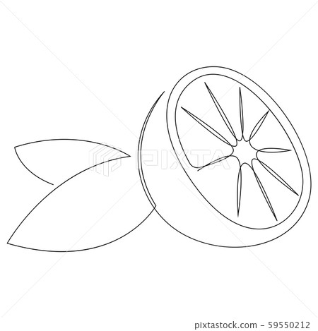 Orange fruit illustration. One continuous line minimal style vector Orange fruit illustration. One continuous line minimal style vector 59550212