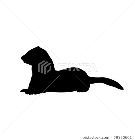 Weasel ferret silhouette. An animal of the marten family. Weasel ferret silhouette. An animal of the marten family. 59550601