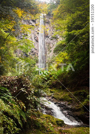 Takibaya waterfall 59551100