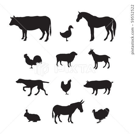 Vector set of black domestic animals silhouette Vector set of black domestic animals silhouette 59552522