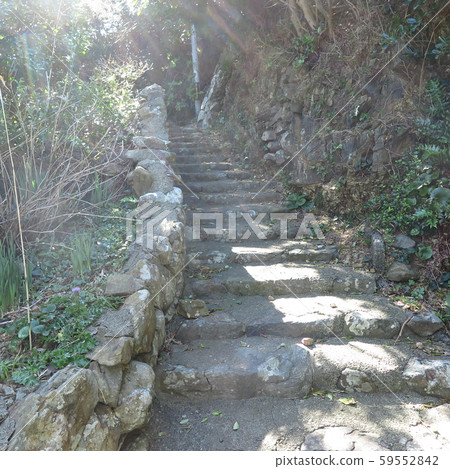 鄉村小路 鄉村小路 59552842