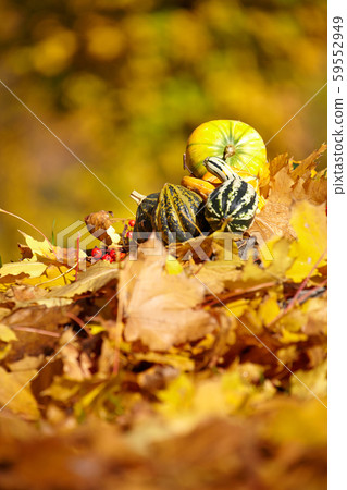 Autumn background 59552949