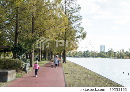 秋天的美鄉公園,崎玉縣美鄉市充滿兒童和成人的大自然公園 秋天的美鄉公園,崎玉縣美鄉市充滿兒童和成人的大自然公園 59553163