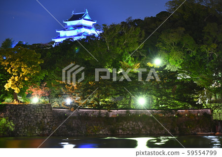Wakayama Castle Wakayama Castle 59554799