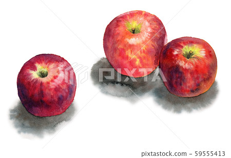 3 apples painted in watercolor 59555413