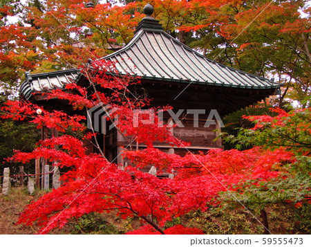 Autumn of Bunri 59555473