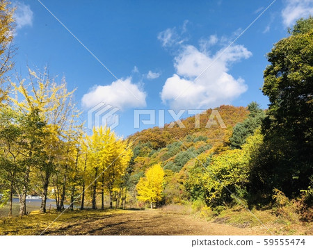 Autumn landscape 59555474