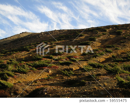 At Azuma Kofuji At Azuma Kofuji 59555475