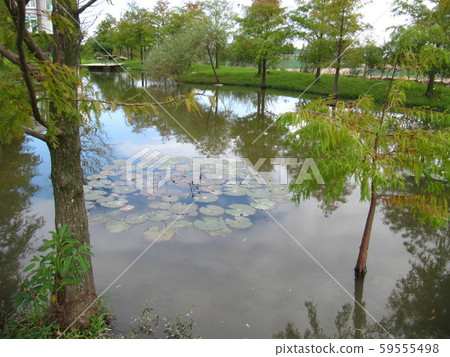 宜蘭 宜蘭 59555498