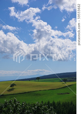 Hokkaido Naitai Highland Farm 59555682