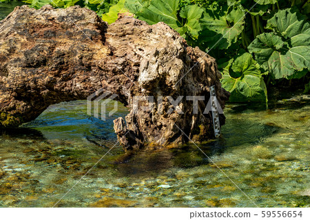 Bistrice river, Albania near Blue Eye water source 59556654