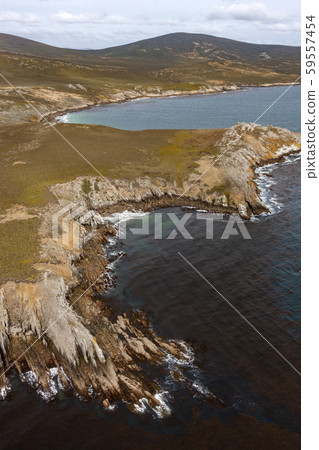 Aerial view of Carcass Island - Falkland Islands 59557454