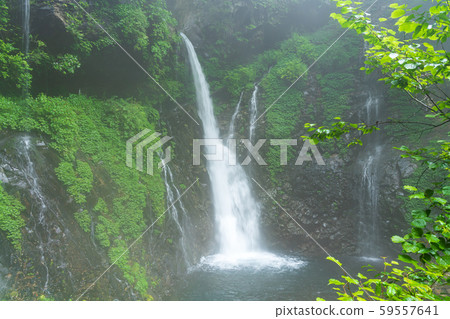 Uramino Falls, Nikko, Tochigi (August) 59557641