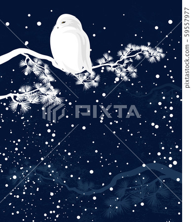 winter season in the forest vector greeting card with white snowy owl on pine tree 59557977
