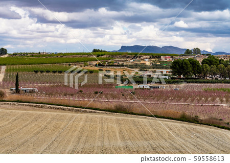 Landscape view of Cieza near Murcia in Spain Landscape view of Cieza near Murcia in Spain 59558613