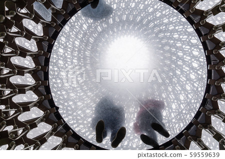 At a towering 17 metres tall, The Hive is a striking installation in the heart of a wildflower At a towering 17 metres tall, The Hive is a striking installation in the heart of a wildflower 59559639