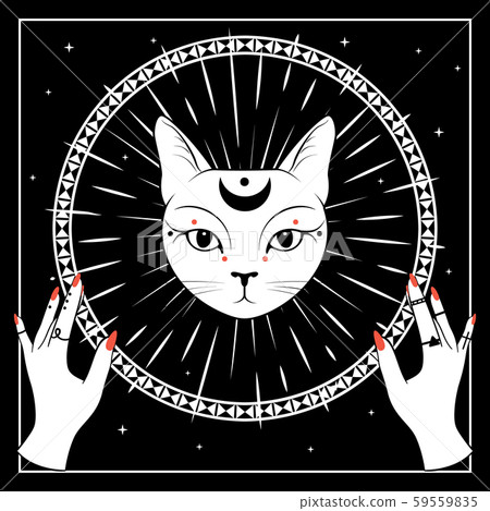 White cat face with moon on night sky with ornamental round frame. Hands with rings. White cat face with moon on night sky with ornamental round frame. Hands with rings. 59559835