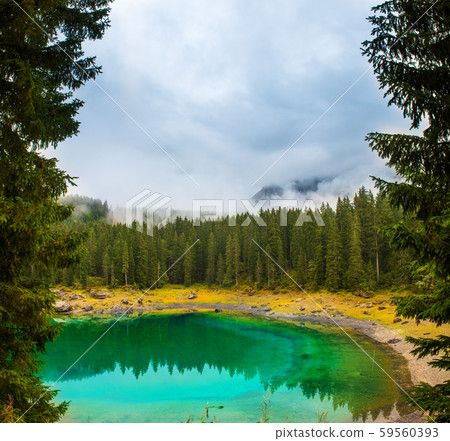 Carezza lake or Lago di Carezza, Karersee in Dolomites Alps. South Tyrol Italy 59560393