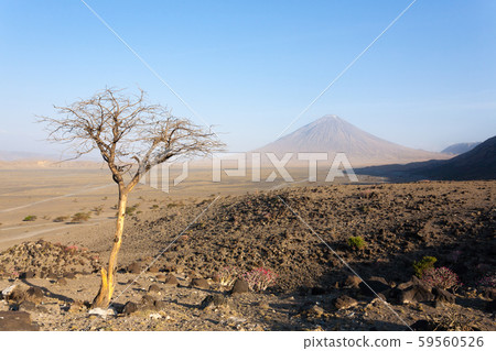 Lake Natron area landscape, Tanzania, Africa. Ol 59560526