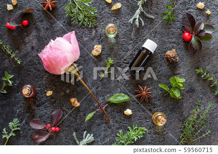 Selection of essential oils with frankincense, roses, wintergreen and other herbs Selection of essential oils with frankincense, roses, wintergreen and other herbs 59560715