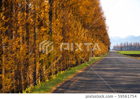 Tokachi in autumn Tokachi in autumn 59561754