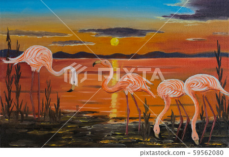 Four flamingos on one shore at sunset 59562080