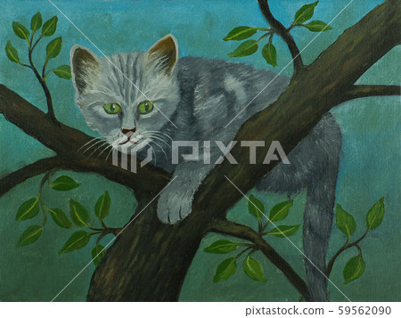 Grey cat with green eyes sitting on a tree 59562090