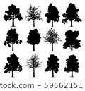 Oak trees 59562151