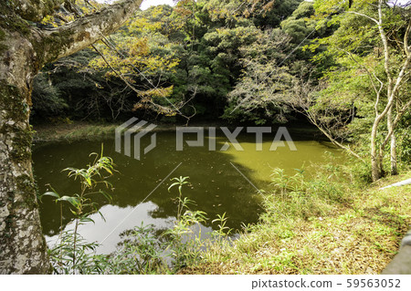 Shirakaba Shrine Mishinai Pond Tottori City, Tottori Prefecture 59563052