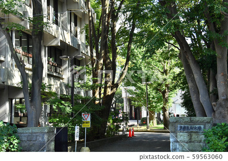 世田谷區，東京，多摩美術大學，Kaminoge校區 59563060