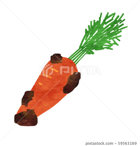 Orange carrot / carrot with mud Orange carrot / carrot with mud 59563169