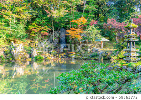 Autumn Kenrokuen Autumn leaves [Ishikawa Prefecture] 59563772