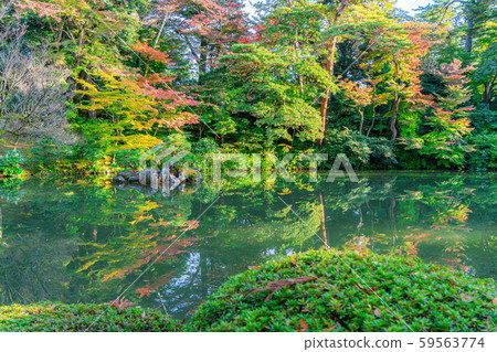 Autumn Kenrokuen Autumn leaves [Ishikawa Prefecture] 59563774