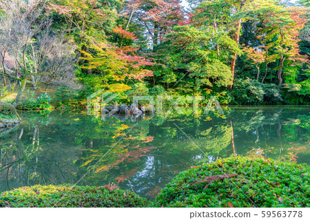 Autumn Kenrokuen Autumn leaves [Ishikawa Prefecture] 59563778