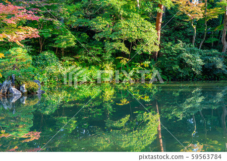 Autumn Kenrokuen Autumn leaves [Ishikawa Prefecture] 59563784
