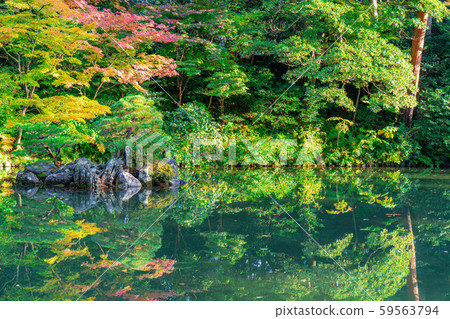 Autumn Kenrokuen Autumn leaves [Ishikawa Prefecture] 59563794