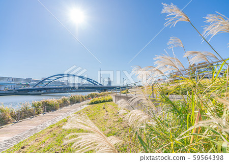 日本秋天的鈴木和天空樹 日本秋天的鈴木和天空樹 59564398