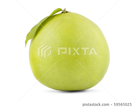 Pomelo fruit an isolated on white background Pomelo fruit an isolated on white background 59565025