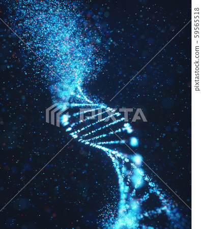 Oxidative DNA Damage Genetic Disorder Molecular 59565518