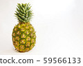 Pineapple left Pineapple left 59566133