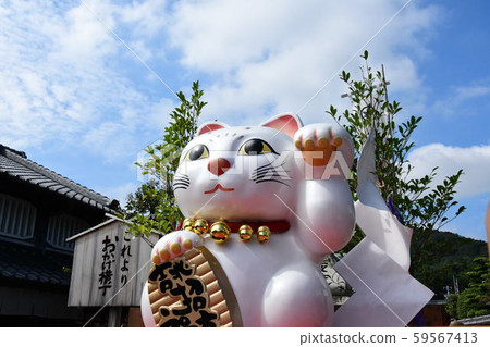 Lucky Cat 59567413