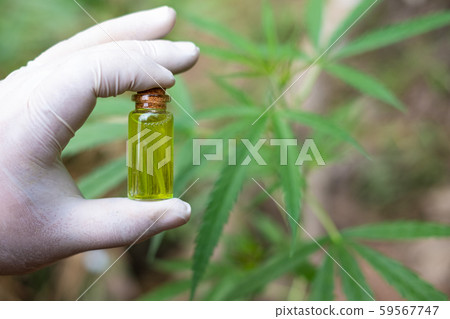 Hand holding a glass bottle with CBD oil and cannabis leaf at the  59567747