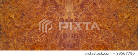 burl wood striped Exotic wooden beautiful pattern for crafts art or background 59567790