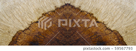 burl wood striped Exotic wooden beautiful pattern for crafts art or background burl wood striped Exotic wooden beautiful pattern for crafts art or background 59567793