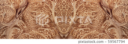 burl wood striped Exotic wooden beautiful pattern for crafts art or background 59567794