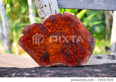 Logs Amboyna burl wood striped Exotic wooden beautiful pattern for crafts art or background 59567809