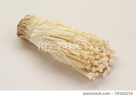 Enokitake 59568258