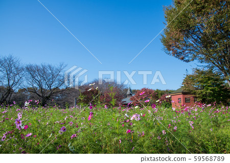 深谷綠色公園 照片素材 圖片 圖庫