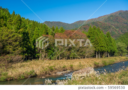 滋賀縣湖北地區秋季高時川清流 滋賀縣湖北地區秋季高時川清流 59569530